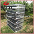 Trade Assurance 5 Tier or 6 Tier H Quail Type Cage for Sale